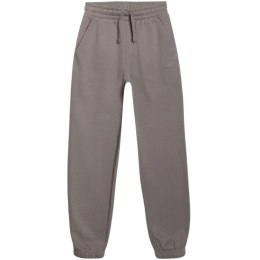 Spodnie 4F CAS M1245 Jr 4FJWAW25TTROM1245 22S 158cm