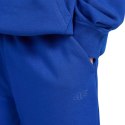 Spodnie 4F CAS M1245 Jr 4FJWAW25TTROM1245 36S 158cm